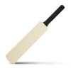 Mini Cricket Bat