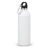 Intrepid Vacuum Bottle